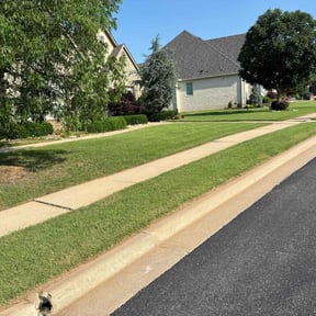 landscaping by GoGreen inc reviewed on November 24, 2025