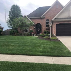 landscaping services by Simio&#039;s reviewed on June 24, 2025