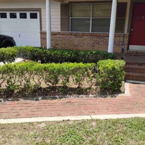 Bush Trimming by Lancon reviewed on November 6, 2025