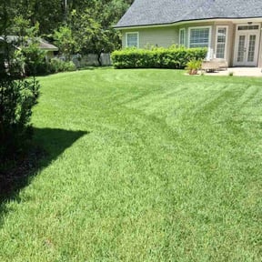 grass cutting by Kevin Rodgers reviewed on August 17, 2025