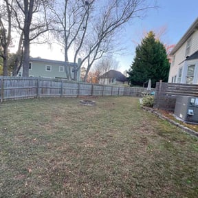 Leaf Removal by Dem Mowers reviewed on November 24, 2025