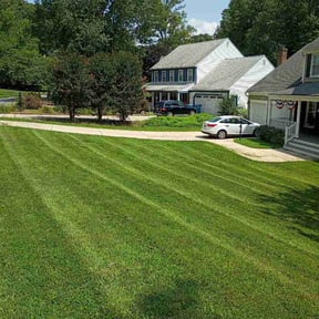 Bush Trimming by Frank’s Gardening Service reviewed on July 25, 2026