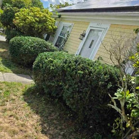 Bush Trimming by Premium Lawns LLC reviewed on October 24, 2025