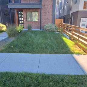 yard service by None reviewed on August 15, 2025