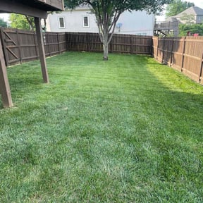 landscaping services by shrubsandmorebyc&amp;b reviewed on August 13, 2024