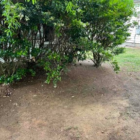 Flower Bed Weeding by Jasmines Lawn and More reviewed on May 25, 2026