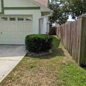 Bush Trimming by RTH Lawn Service & Landscaping LLC reviewed on August 18, 2025