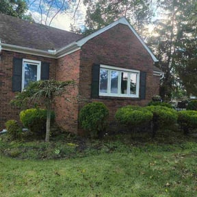 Bush Trimming by Leigh Outdoor Services LLC reviewed on November 6, 2025