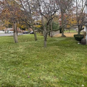 Leaf Removal by Family Lawn Care reviewed on November 19, 2025