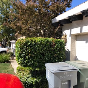 Bush Trimming by Red Mahogany LLC reviewed on August 15, 2025