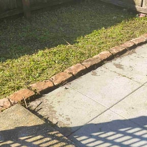 Bush Trimming by Diamond R Equipment Services LLC reviewed on November 22, 2025