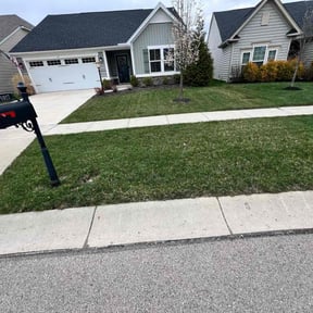 yard work by R.E.M lawn services reviewed on August 19, 2025