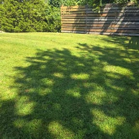 lawn care by Chicago Lawn Care & Snow Removal reviewed on April 21, 2024