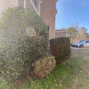 Bush Trimming by CML Lawn Care reviewed on April 30, 2026