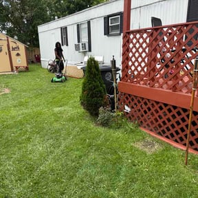 Bush Trimming by Steelacreservices reviewed on June 20, 2026