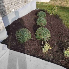 Bush Trimming by 242 Lawn Care reviewed on October 24, 2025