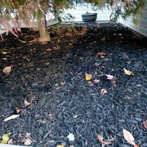 Flower Bed Weeding by Matt Mows reviewed on November 4, 2025