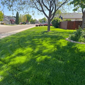 landscaping services by 1968 reviewed on August 20, 2025