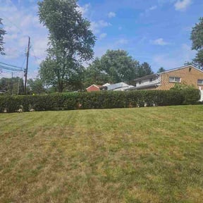 Bush Trimming by Unique Landscaping reviewed on June 28, 2026