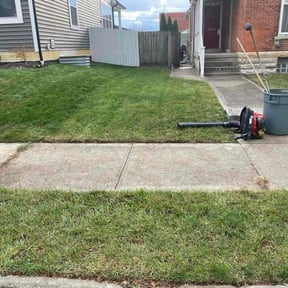 Leaf Removal by Shawn Hussey Lawns reviewed on November 30, 2025