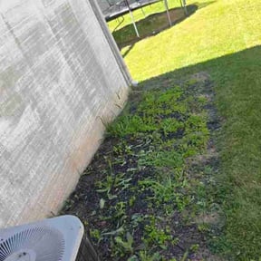 Flower Bed Weeding by MTK Contracting LLC reviewed on May 31, 2026
