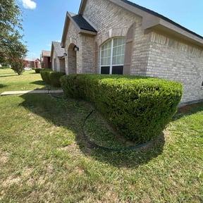 Bush Trimming by Caver Lawn Care reviewed on August 15, 2025