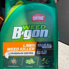 Flower Bed Weeding by K's Lawn Care reviewed on May 25, 2026
