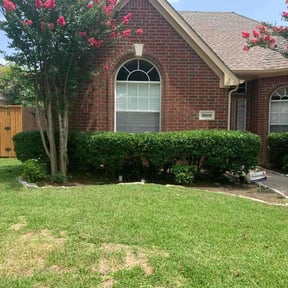 Bush Trimming by BENNETT LINKS SOLUTIONS reviewed on August 21, 2025