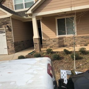 Bush Trimming by Visionary Mowing LLC reviewed on May 7, 2024