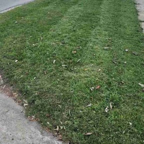 grass cutting by Johnson lawn services reviewed on October 3, 2023