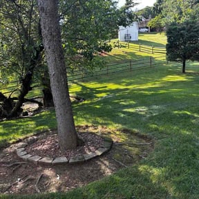 Bush Trimming by Rich Cuts reviewed on June 23, 2026