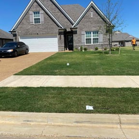 landscaping by Royal Pro Lawn Management reviewed on August 17, 2025