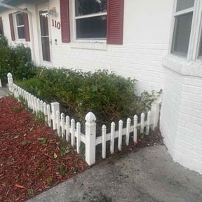 Bush Trimming by D&amp;D All In One reviewed on November 24, 2025