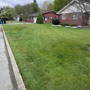yard work by Performance Services. reviewed on August 15, 2025