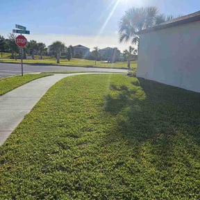 landscaping by Alicia's Lawn Care reviewed on September 14, 2023