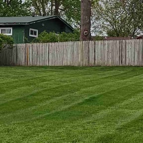 yard work by J C Enterprises reviewed on August 19, 2025