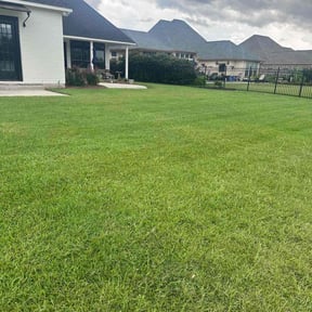yard maintenance by Whites Landscaping reviewed on August 16, 2025