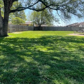 yard service by Chad Suenram reviewed on May 7, 2025