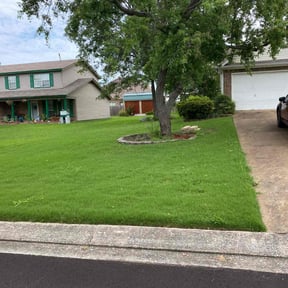 lawn care by Lomax Lawns reviewed on August 25, 2024