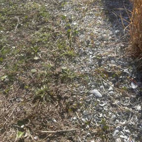 Flower Bed Weeding by Chad Suenram reviewed on March 15, 2026