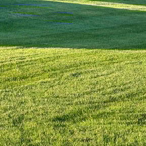 turf care by Ramiro's Lawn Care reviewed on April 2, 2025