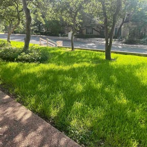 landscaping by John's lawn care Llc reviewed on August 21, 2025
