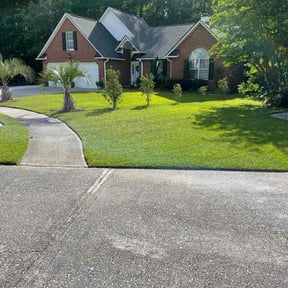 turf care by A Step Above Lawn Care LLC reviewed on August 15, 2025