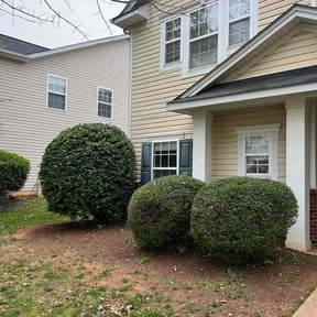 Bush Trimming by Bean Sprout Lawn Service LLC reviewed on August 15, 2025