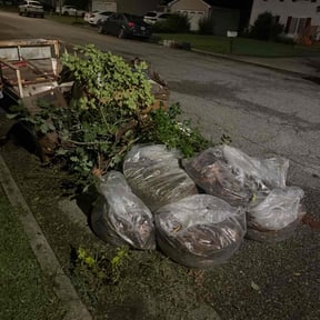 Leaf Removal by Amie&#039;s Clean Cut Lawns &amp; More reviewed on October 3, 2025