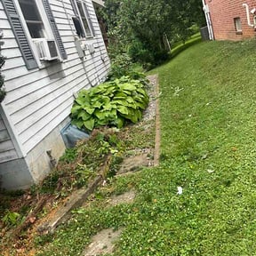 Bush Trimming by ABC Lawn Maintenance reviewed on June 27, 2026