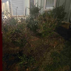 Flower Bed Weeding by Fallow Ground reviewed on October 23, 2025