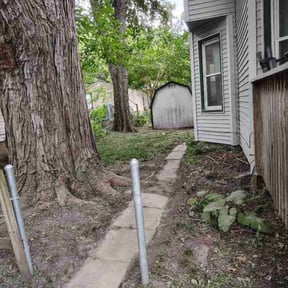 Leaf Removal by Anointed Services reviewed on September 16, 2025