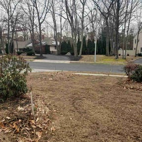 Leaf Removal by Smith&#039;s Care reviewed on October 2, 2025