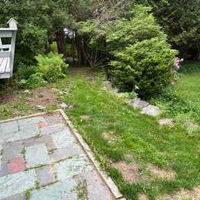 Bush Trimming by S &amp; S Outdoor Solutions reviewed on June 10, 2026